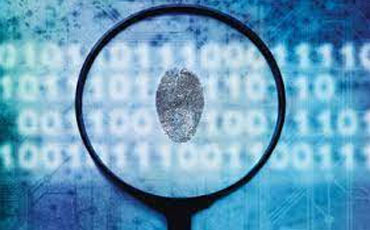 Cybercrime investigation Services